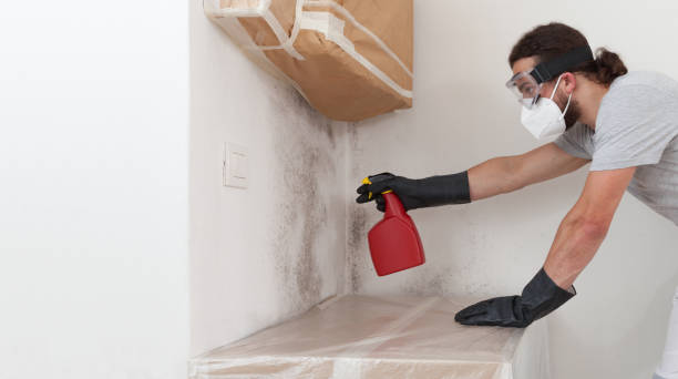 Professional Commercial Mold Remediation technician working in West Olive, MI