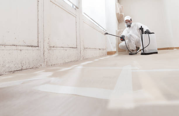 24/7 Emergency Commercial Mold Remediation experts in West Olive, MI